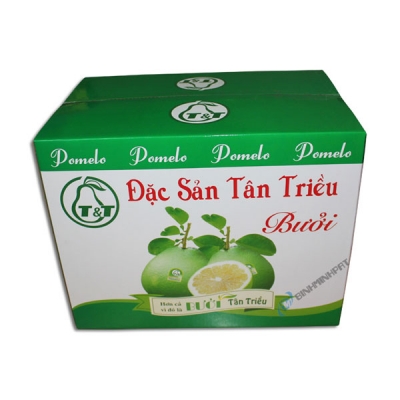 Thùng carton 10 lớp VP-01