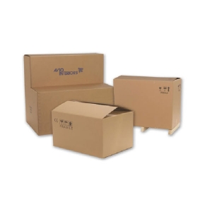 Thùng carton 10 lớp VP-03
